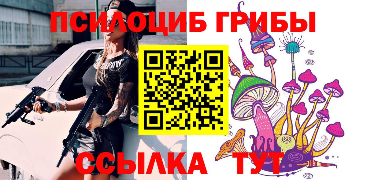 Псилоцибиновые грибы Cubensis Йошкар-Ола