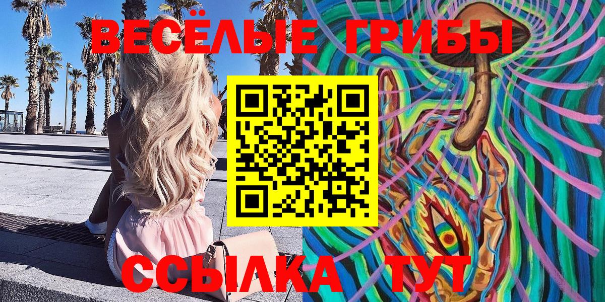 Псилоцибиновые грибы GOLDEN TEACHER  цена   Йошкар-Ола  Вход с VPN  Галлюциногенные грибы Psilocybine cubensis 